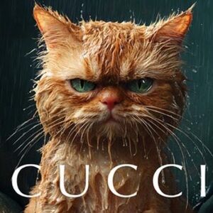 DON Poor angry kitty lol 😱🤣